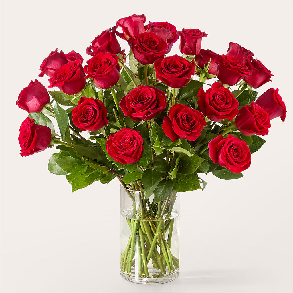 The One Red Rose Bouquet – A BEAUTIFUL DAY FLORIST WINE & GOURMET, Port Saint Lucie FL