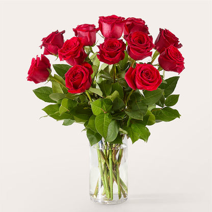 The One Red Rose Bouquet – A BEAUTIFUL DAY FLORIST WINE & GOURMET, Port Saint Lucie FL
