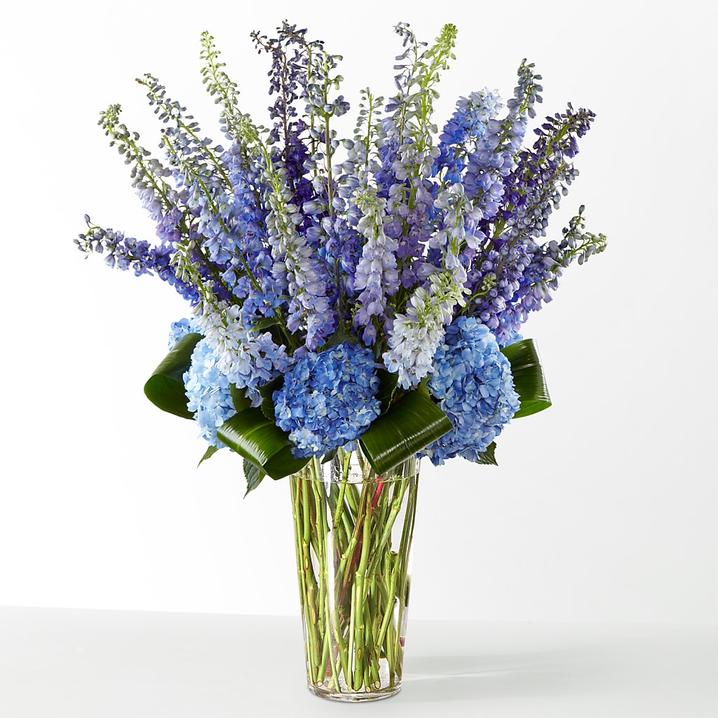 The Editorial – A BEAUTIFUL DAY FLORIST WINE & GOURMET, Port Saint Lucie FL