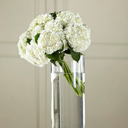 White Hydrangea Hand-Tied Bouquet – A BEAUTIFUL DAY FLORIST WINE & GOURMET, Port Saint Lucie FL