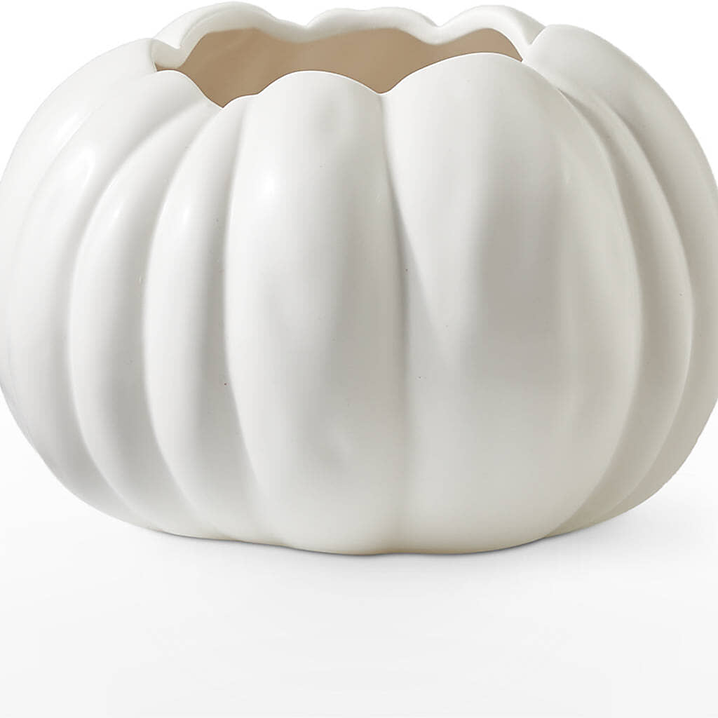 Pumpkin to Talk About Bouquet – A BEAUTIFUL DAY FLORIST WINE & GOURMET, Port Saint Lucie FL