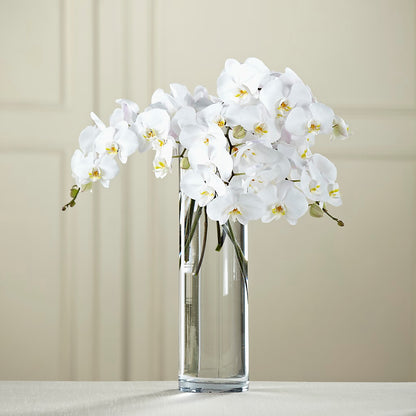 White Phalaenopsis Bouquet – A BEAUTIFUL DAY FLORIST WINE & GOURMET, Port Saint Lucie FL